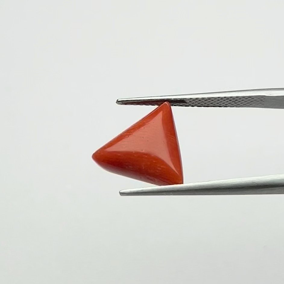 Authentic Certified Natural Energized Red Coral Gemstone 6.50 Ratti for Mars Energy and Courageous Confidence