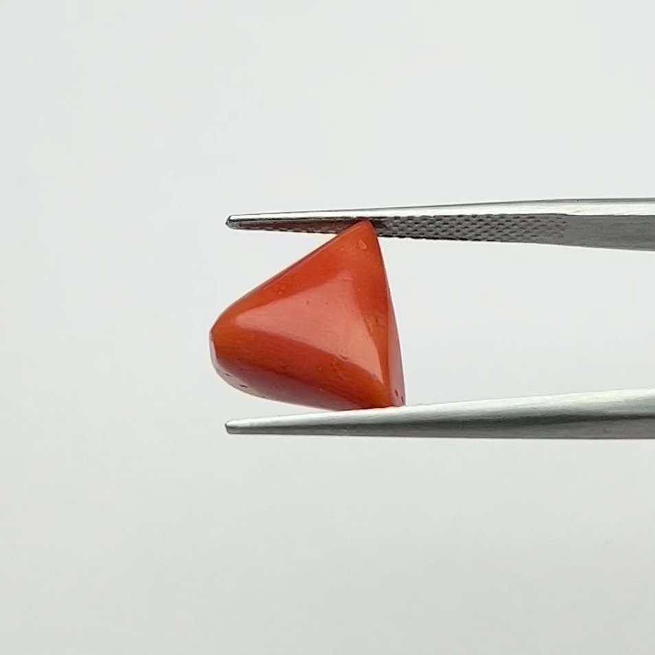 Certified Natural Energized Red Coral Gemstone 6.50 Ratti for Mars Activated Passion, Courage, and Confidence Empowerment