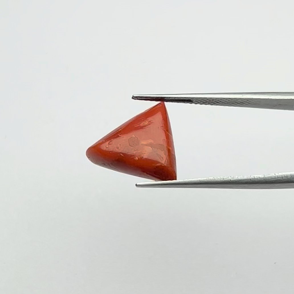 Vedic Certified Natural Energized Red Coral Gemstone 8.50 Ratti for Mars Energy and Protection
