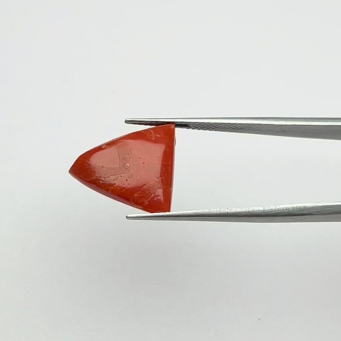 Certified Natural, Energized Red Coral Gemstone 7.50 Ratti Attuned for Mars Energy and Passion Activation