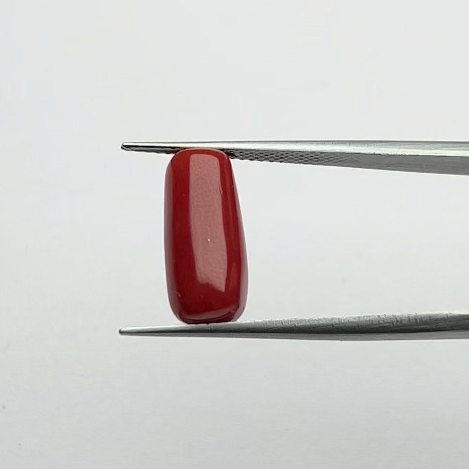 Certified Natural Energized Red Coral Gemstone 6.50 Ratti for Mars Energy Activation and Passion
