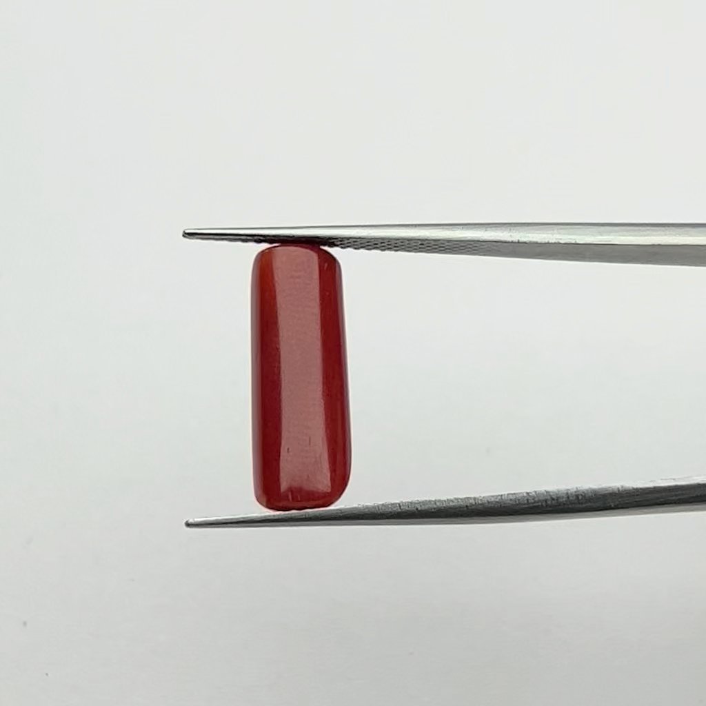 Certified Natural Energized Red Coral Gemstone 6.00 Ratti for Mars Power and Protection