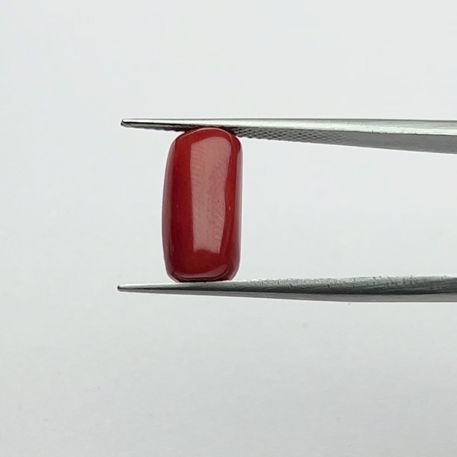 Certified Natural Energized Red Coral Gemstone 6.00 Ratti for Mars Energy, Confidence, and Courageous Spirit