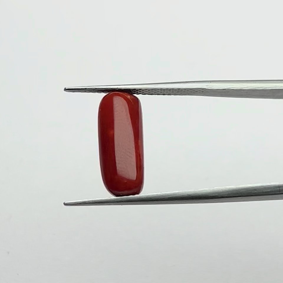 Certified Natural Energized Red Coral Gemstone 6.00 Ratti Pendant for Mars Energy, Courage, and Protection