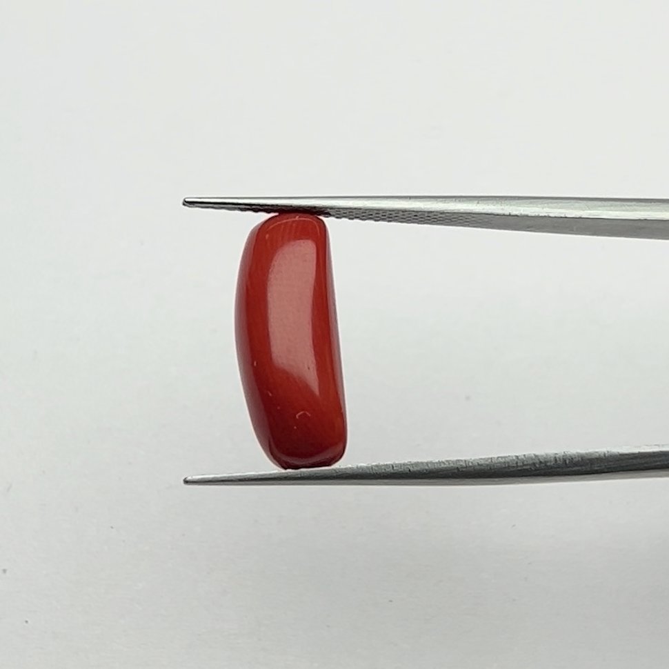 Natural, Certified Energized Red Coral Gemstone (7.00 Ratti) for Protection, Courage and Mars Energy Blessings