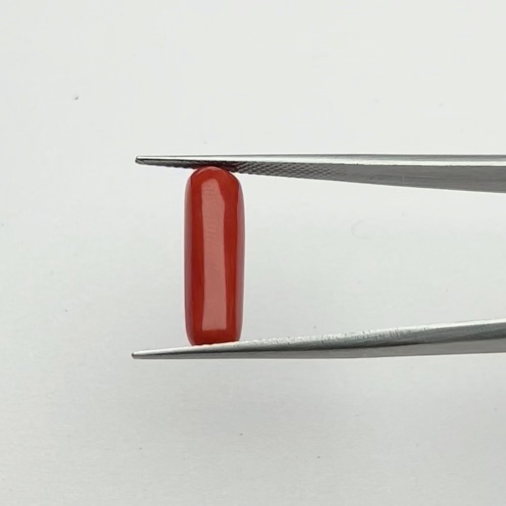 Certified Natural Energized Red Coral Gemstone for Passion, Courage, and Mars Protection - 5.50 Ratti