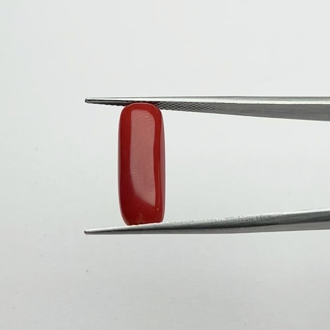 Certified Natural Energized Red Coral Gemstone 5.50 Ratti, Lord Mars Energized for Courage, Protection, and Passion