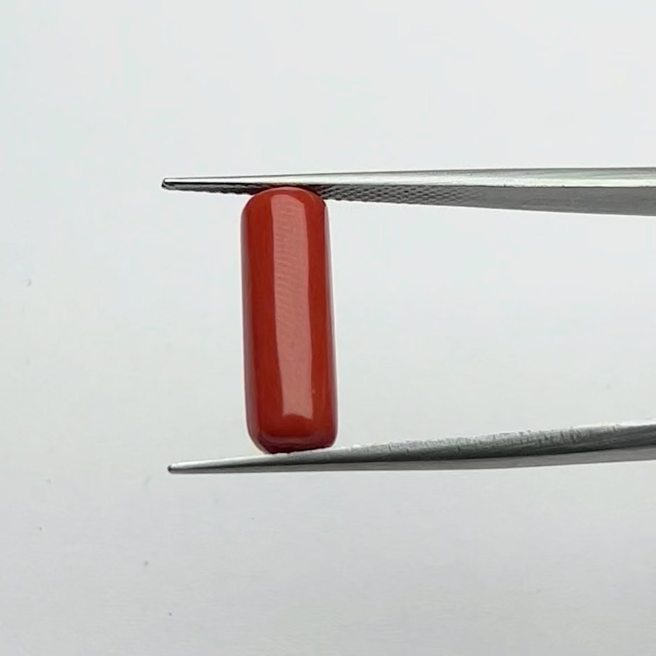 Certified Natural Energized Red Coral Gemstone 5.50 Ratti for Mars Energy, Courage, and Passion Enhancements
