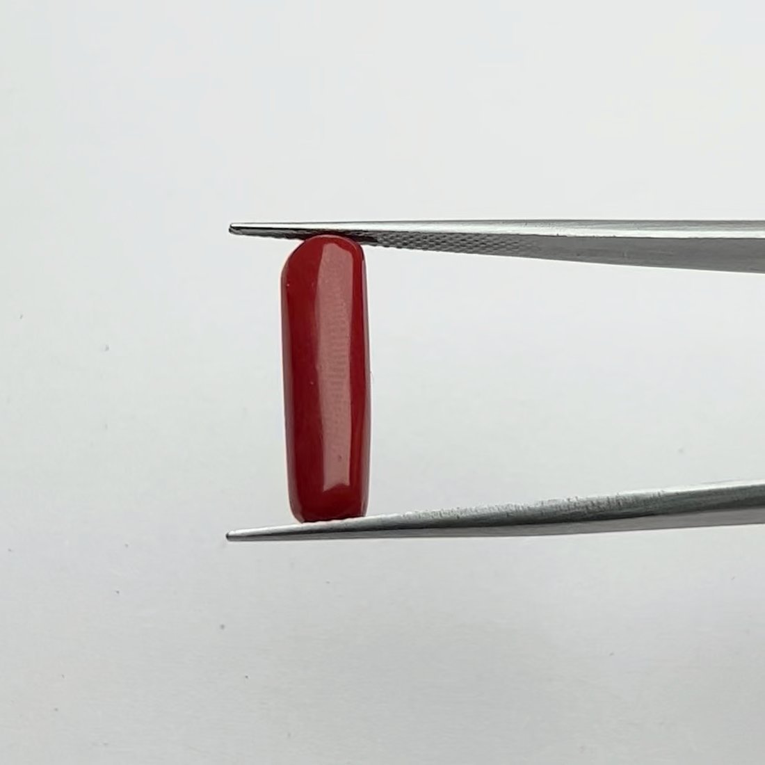Certified Natural Energized Red Coral Gemstone 5.50 Ratti for Mars Energies and Courageous Spirituality