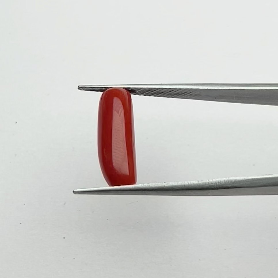 Authentic Hand-Carved Red Coral Gemstone 5.50 Ratti for Mars Energy, Courage, and Emotional Balance