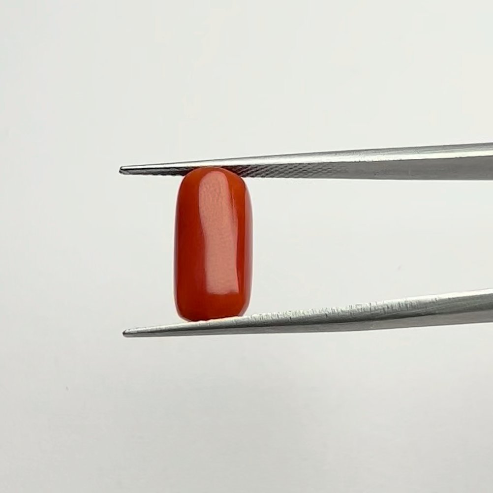 Certified Natural Energized Red Coral Gemstone 6.50 Ratti for Mars Energy, Courage, and Protection Blessings and Strength