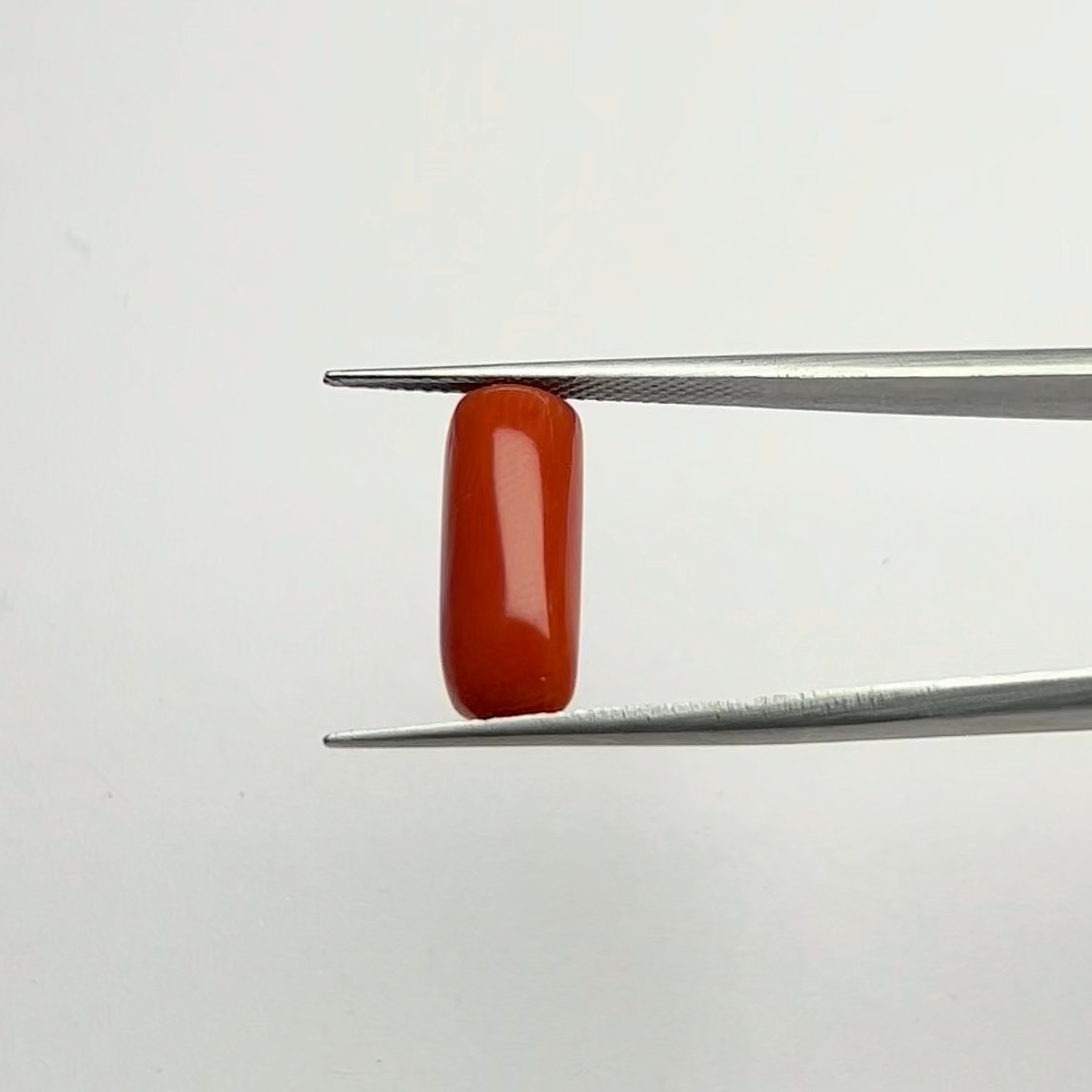 Certified Natural Energized Red Coral Gemstone 6.50 Ratti for Mars Energy, Passion, and Victory Under Lord of War