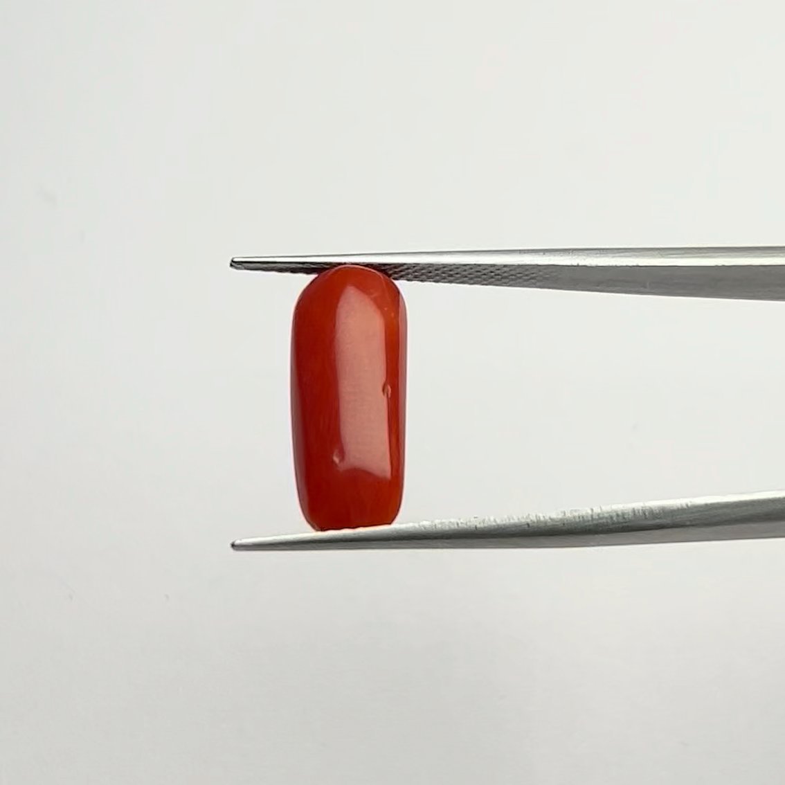 Certified Natural Energized Red Coral Gemstone 6.50 Ratti for Mars Planet Protection, Courage, and Victory