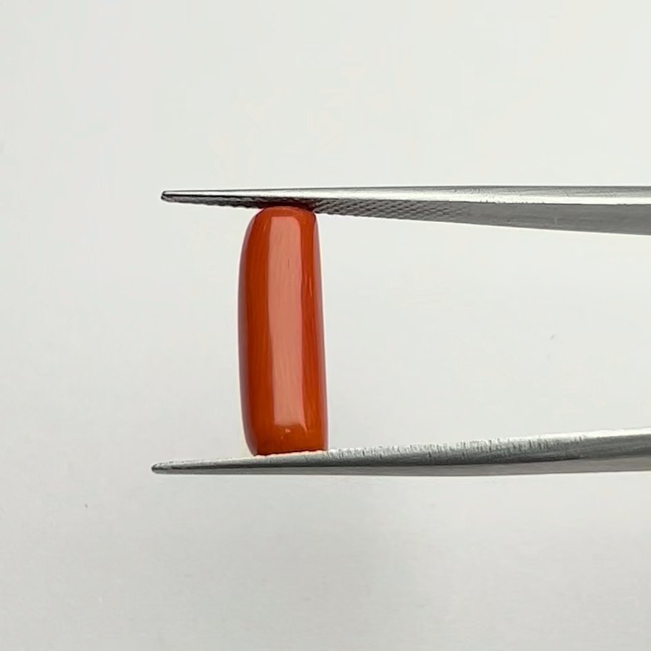 Certified Natural Energized Red Coral Gemstone 6.00 Ratti for Mars Strength, Courage, and Prosperity Energies