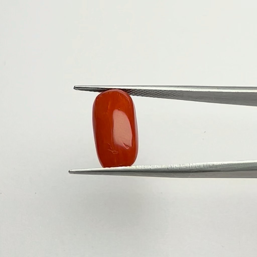 Authentic Certified Natural Energized Red Coral Gemstone 7.00 Ratti, Ruling Planet Mars for Passion, Confidence, and Courage