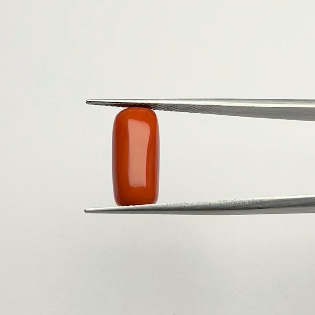 Authentic Handpicked Certified Natural Energized Red Coral Gemstone 7.25 Ratti for Mars Energy and Passion Boost