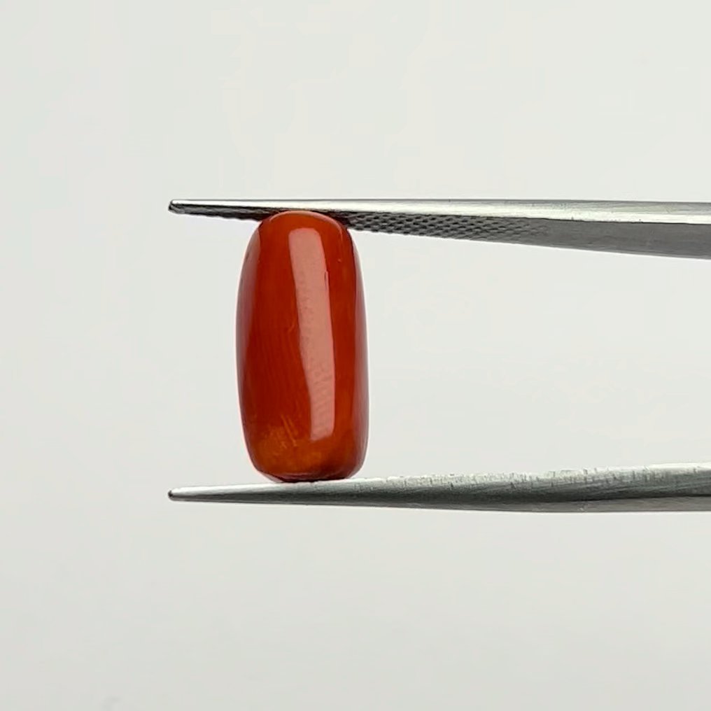 Certified Authentic Energized Natural Red Coral Gemstone 6.25 Ratti for Moon Goddess Blessings and Emotional Balance