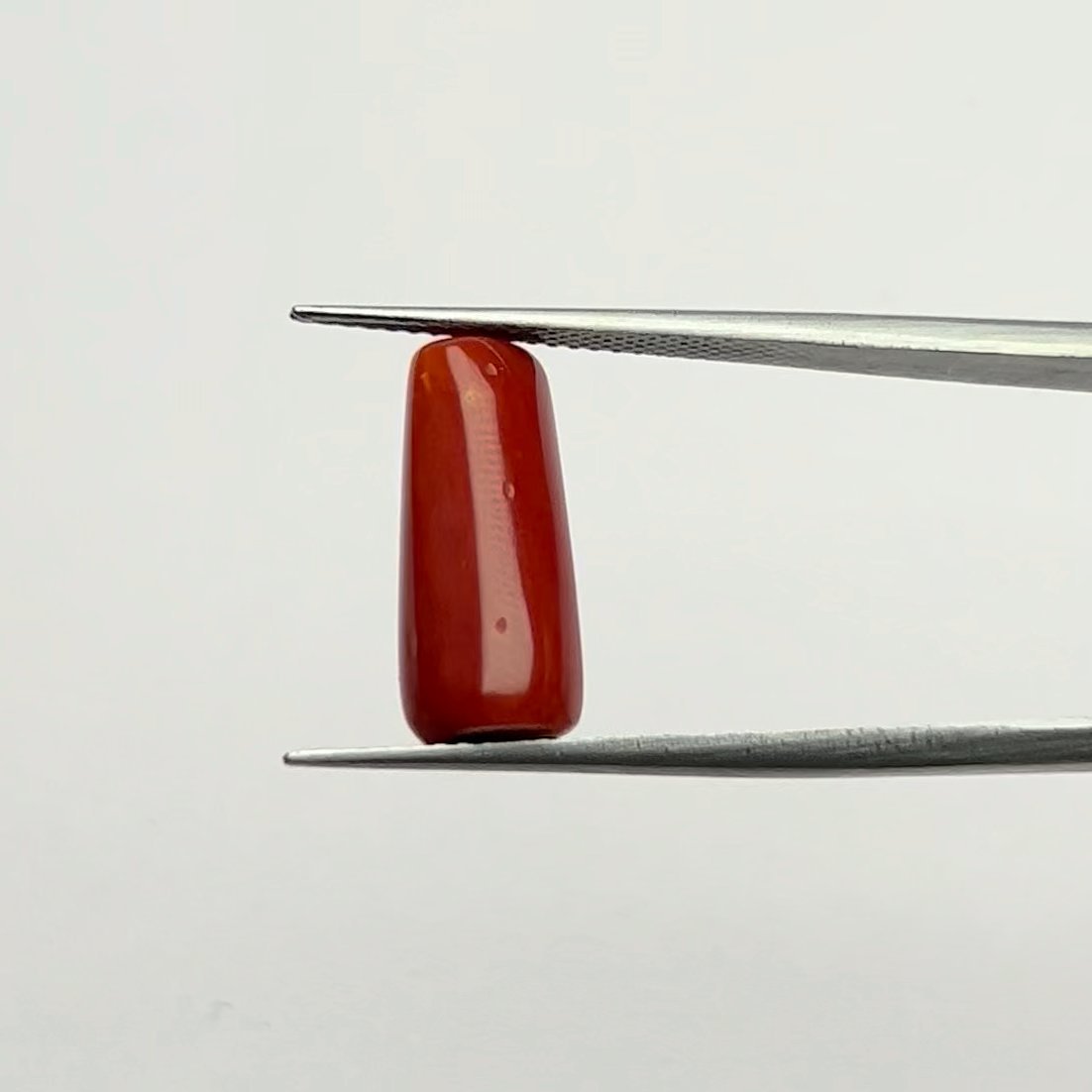 Certified Natural Energized Red Coral Gemstone of Passion and Courage 7.00 Ratti for Mars Victory and Success