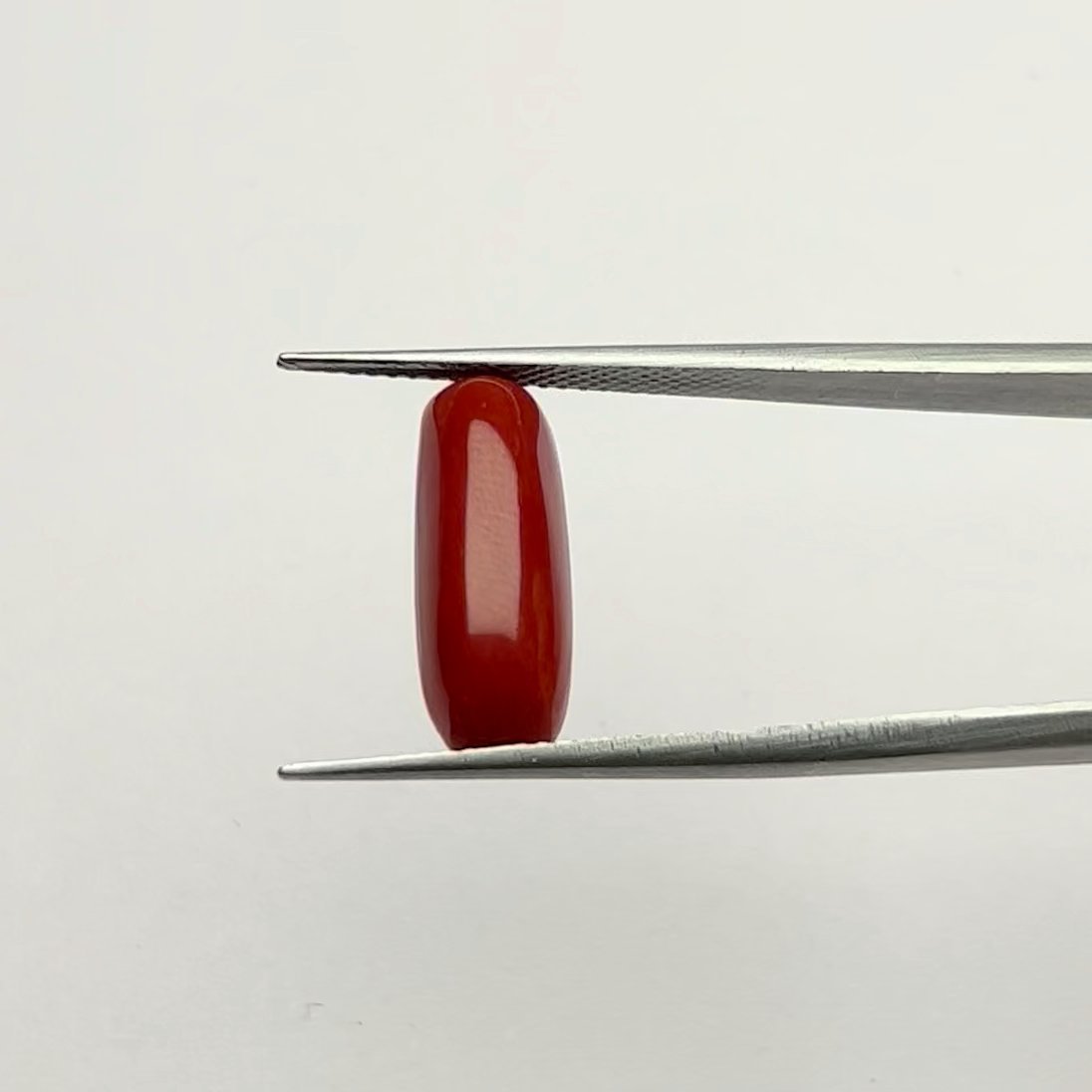 Authentic Certified Natural Energized Red Coral Gemstone 6.00 Ratti for Mars Planet Energies and Passionate Courage