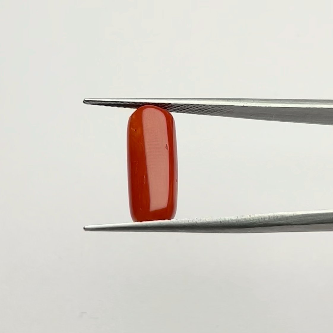 Certified Natural Energized Red Coral Gemstone 6.50 Ratti for Mars Energies and Passionate Success