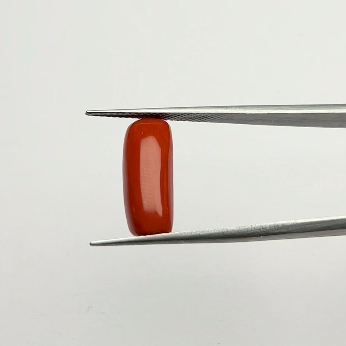 Certified Natural Energized Red Coral Gemstone 7.00 Ratti for Mars Energy, Passion, and Courageous Life Path