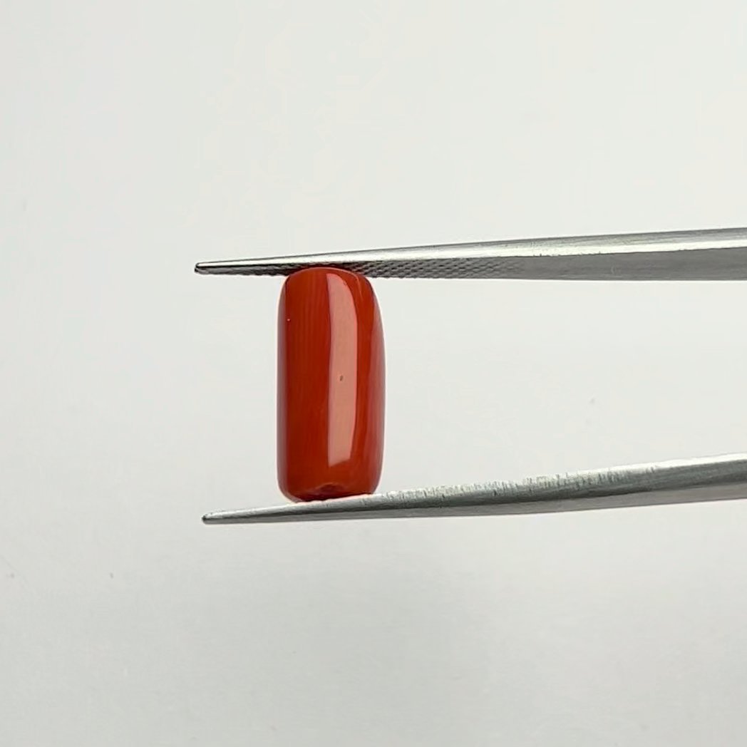 Certified Natural Energized Red Coral Gemstone 6.25 Ratti for Mars Energy, Passion, and Courageous Success