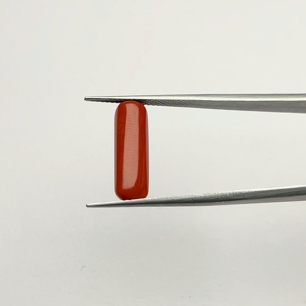 Vibrant Certified Natural Energized Red Coral Gemstone 6.00 Ratti for Mars Energies and Success