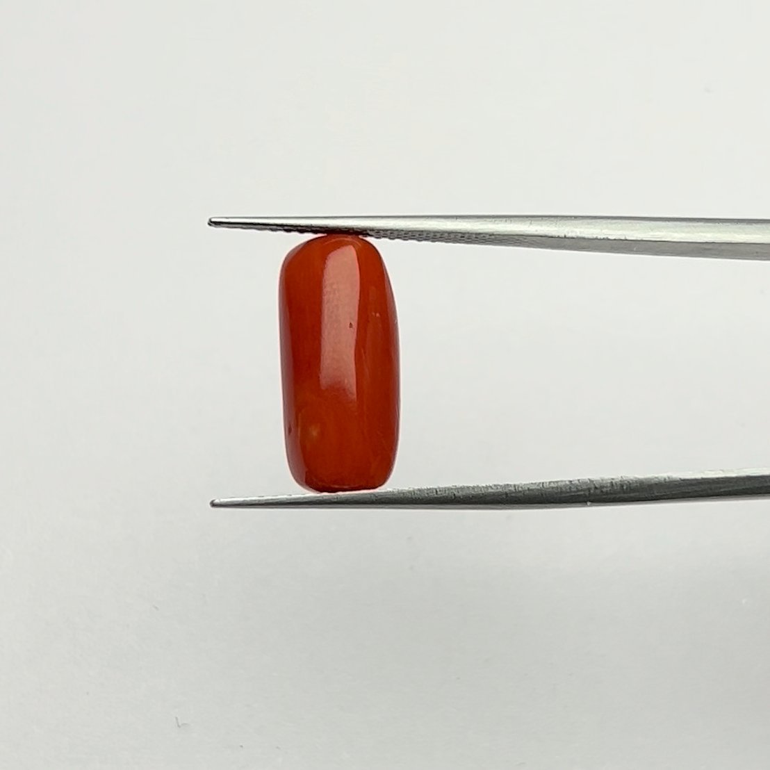 Certified Natural Energized Red Coral Gemstone 6.25 Ratti for Mars Energy, Passion, and Protection