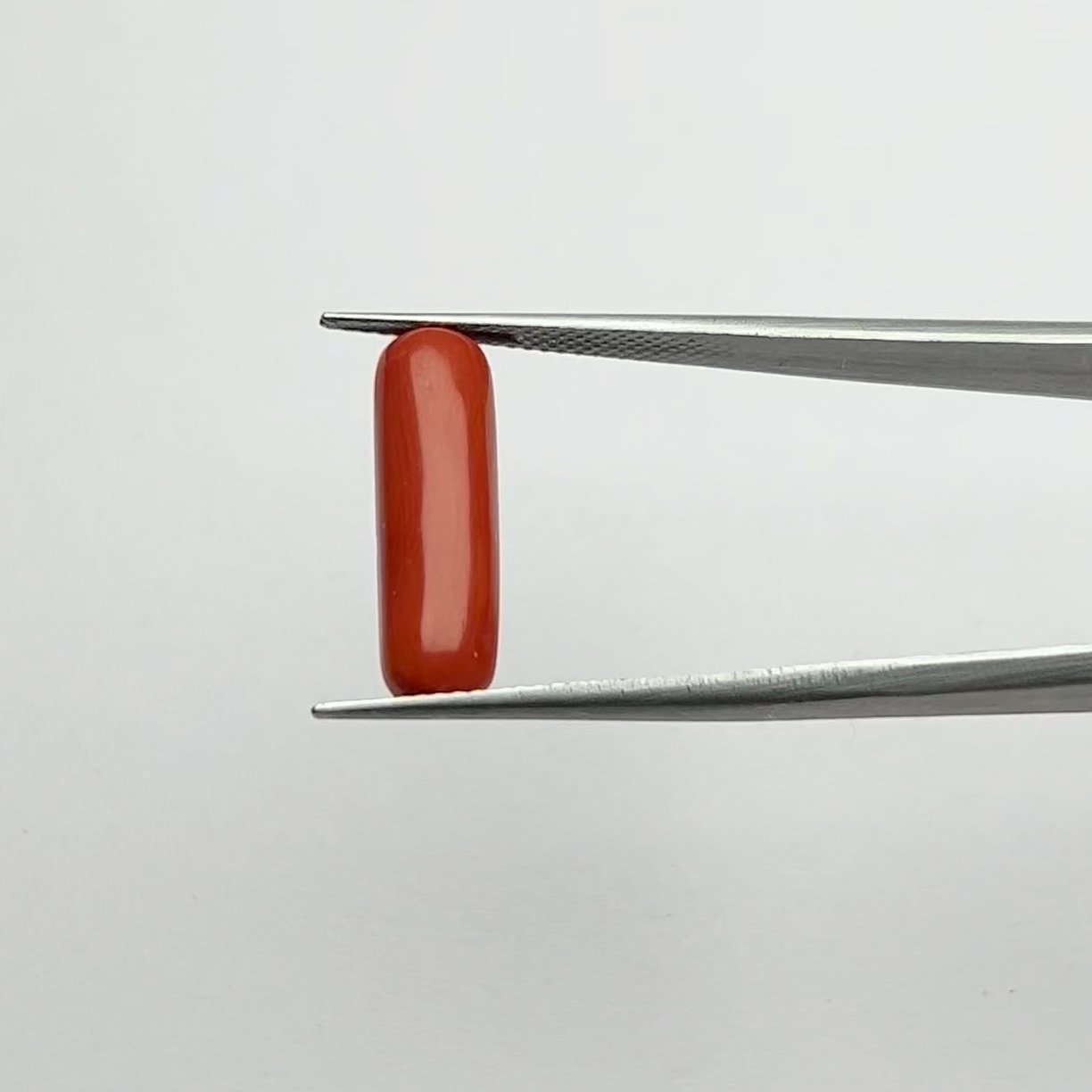 Certified Natural Energized Red Coral Gemstone 5.50 Ratti for Mars Energies and Courageous Life