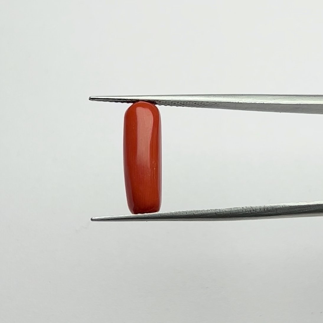 Certified Natural Energized Red Coral Gemstone of Passion and Protection 5.00 Ratti for Mars Energies and Positive Vibes