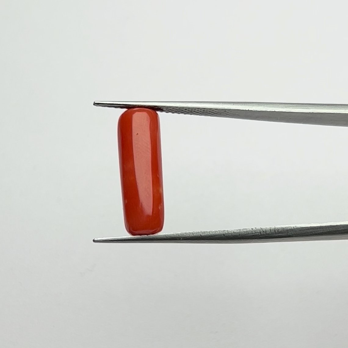 Certified Natural Energized Red Coral Gemstone 5.50 Ratti for Mars Energy and Courageous Vitality