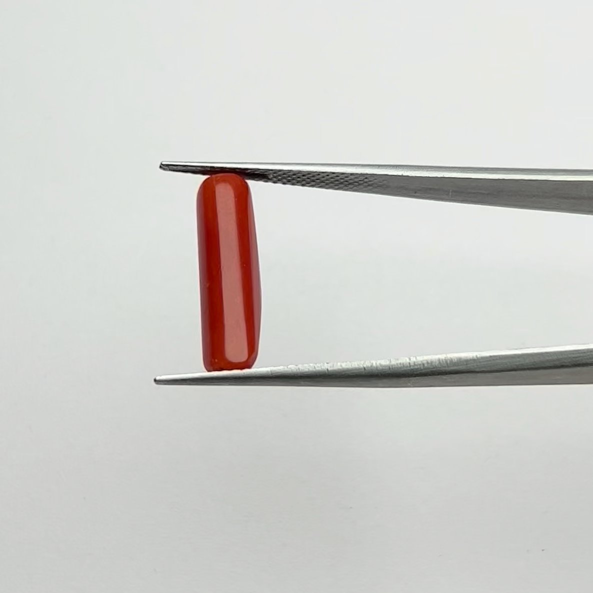 Certified Natural Energized Red Coral Gemstone 5.00 Ratti for Mars Energy and Passion Balancing