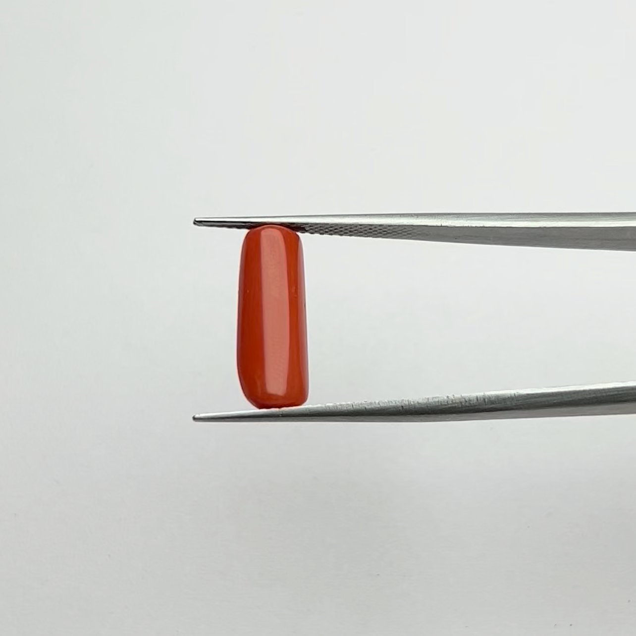 Certified Natural Energized Red Coral Gemstone 5.25 Ratti for Mars Energies and Passionate Living