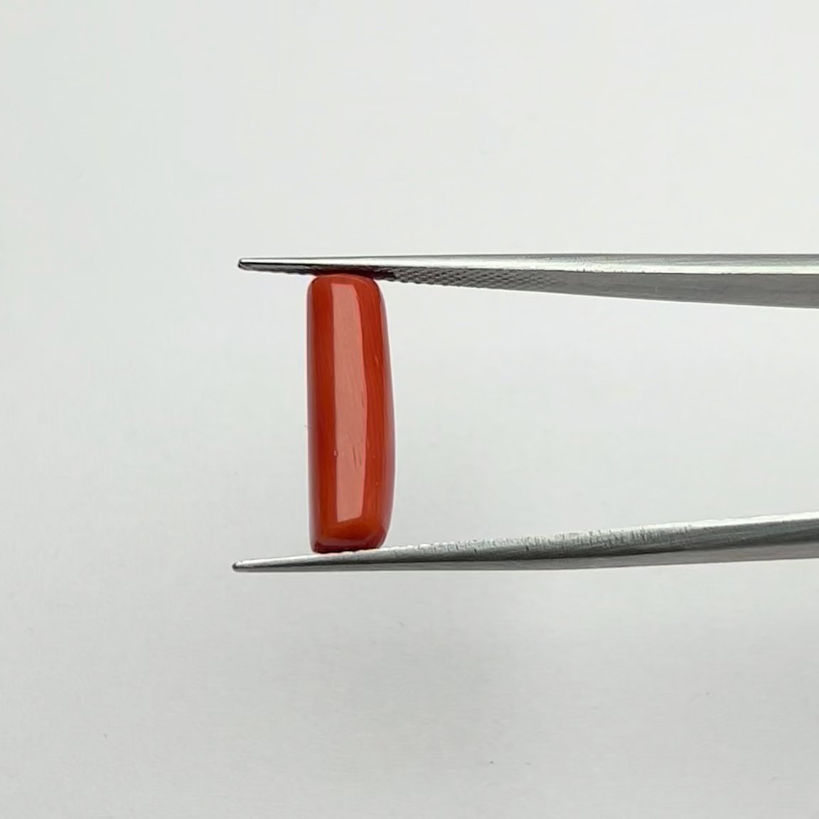 Certified Natural Energized Red Coral Gemstone 5.50 Ratti for Mars Activations, Courage, and Passion.