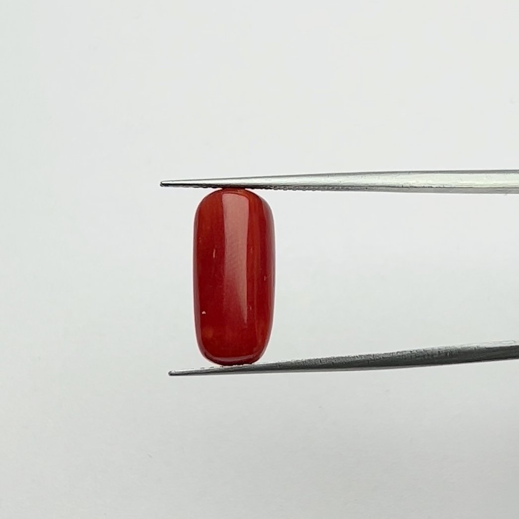 Certified Natural Energized Red Coral Gemstone 6.50 Ratti to Attract Good Fortune, Love, and Prosperity under Planet Mars' Guidance