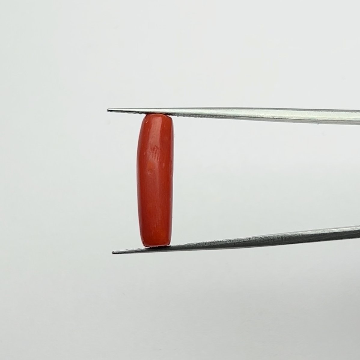 Authentic Hand Polished Natural Red Coral Gemstone 6.00 Ratti for Mars Energy, Confidence, and Courage Boosting