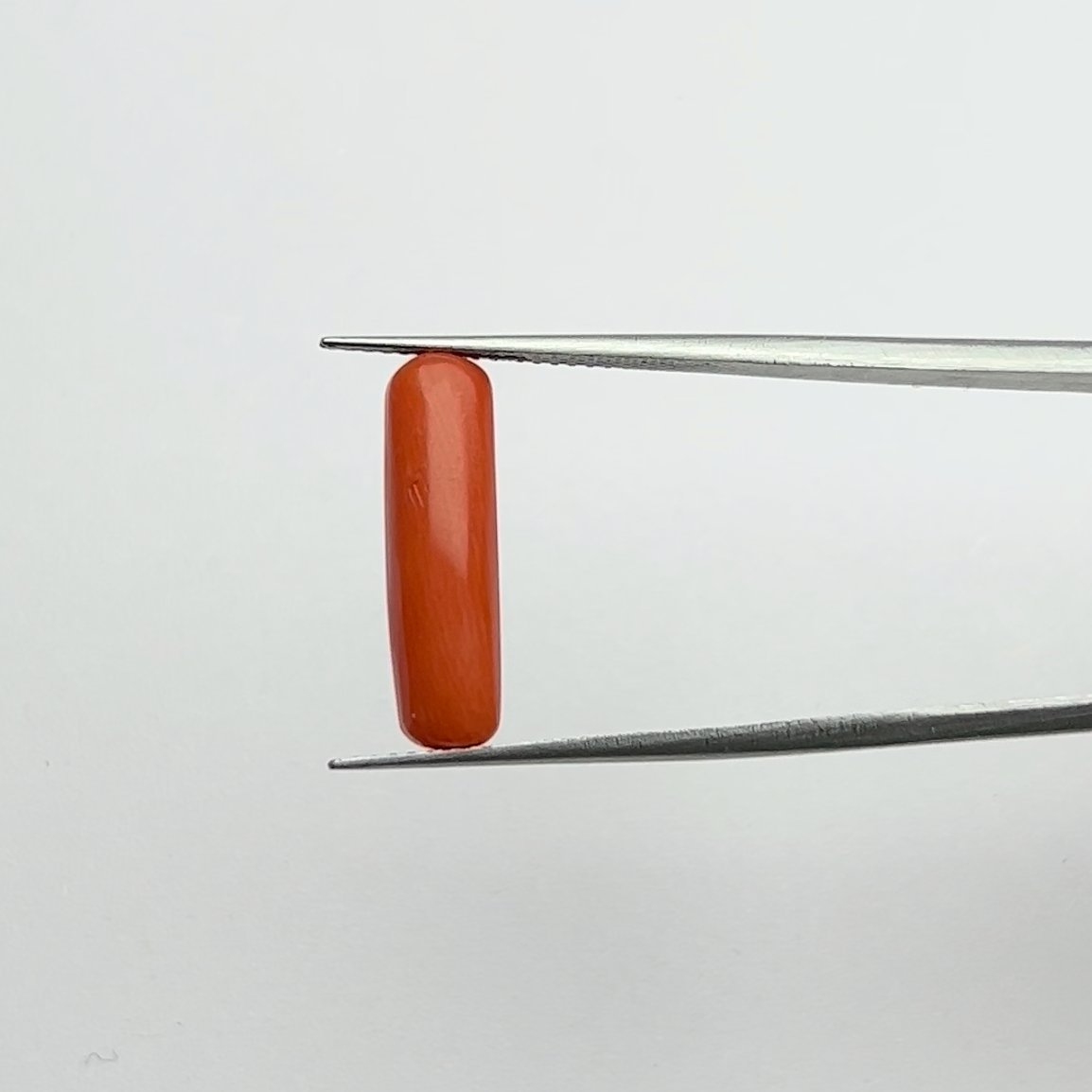 Certified Natural Energized Red Coral Gemstone 5.00 Ratti for Mars Energy, Courage, and Motivation