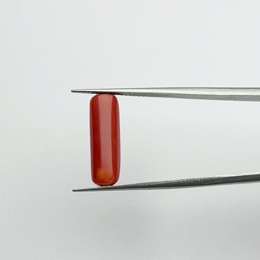 Authentic Natural Energized Red Coral Gemstone 5.25 Ratti for Mars Energy, Courage, and Passionate Living