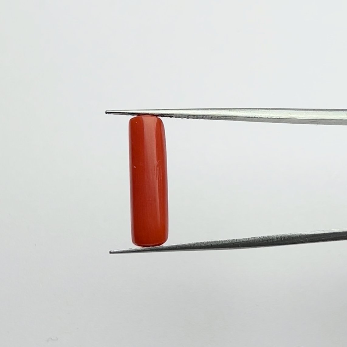 Certified Natural Energized Red Coral Gemstone 5.25 Ratti for Mars Energy, Confidence, and Passion Activation