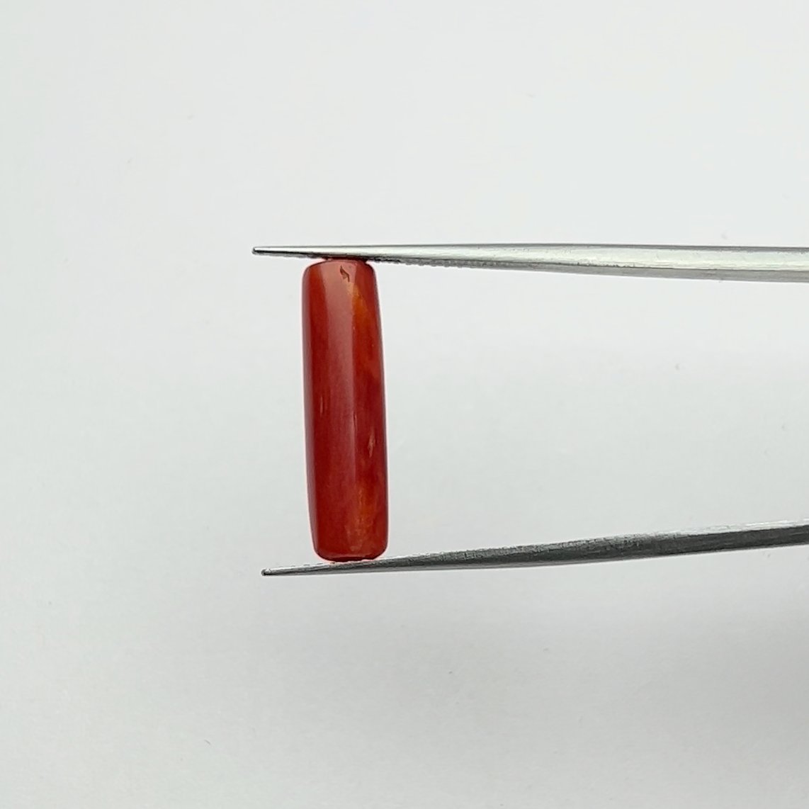Certified Natural Energized Rare Red Coral Gemstone of Lord Kartikeya 5.50 Ratti for Protection and Good Fortune