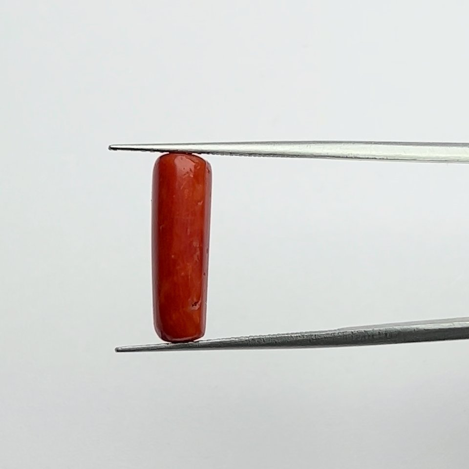 Certified Natural and Energized Red Coral Gemstone - 5.50 Ratti for Mars Energies and Passionate Success