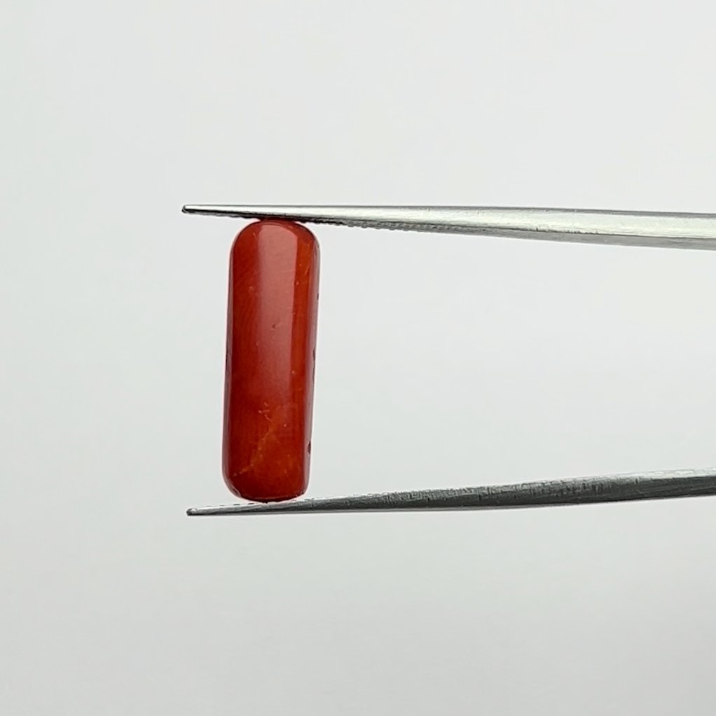 Authentic Natural Energized Red Coral Gemstone 5.00 Ratti for Mars Energization, Courage, and Protection
