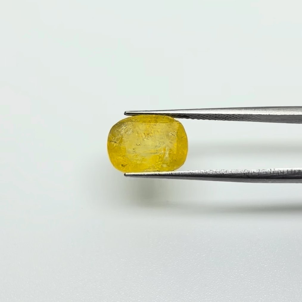 Yellow Sapphire | 7.25 Ratti