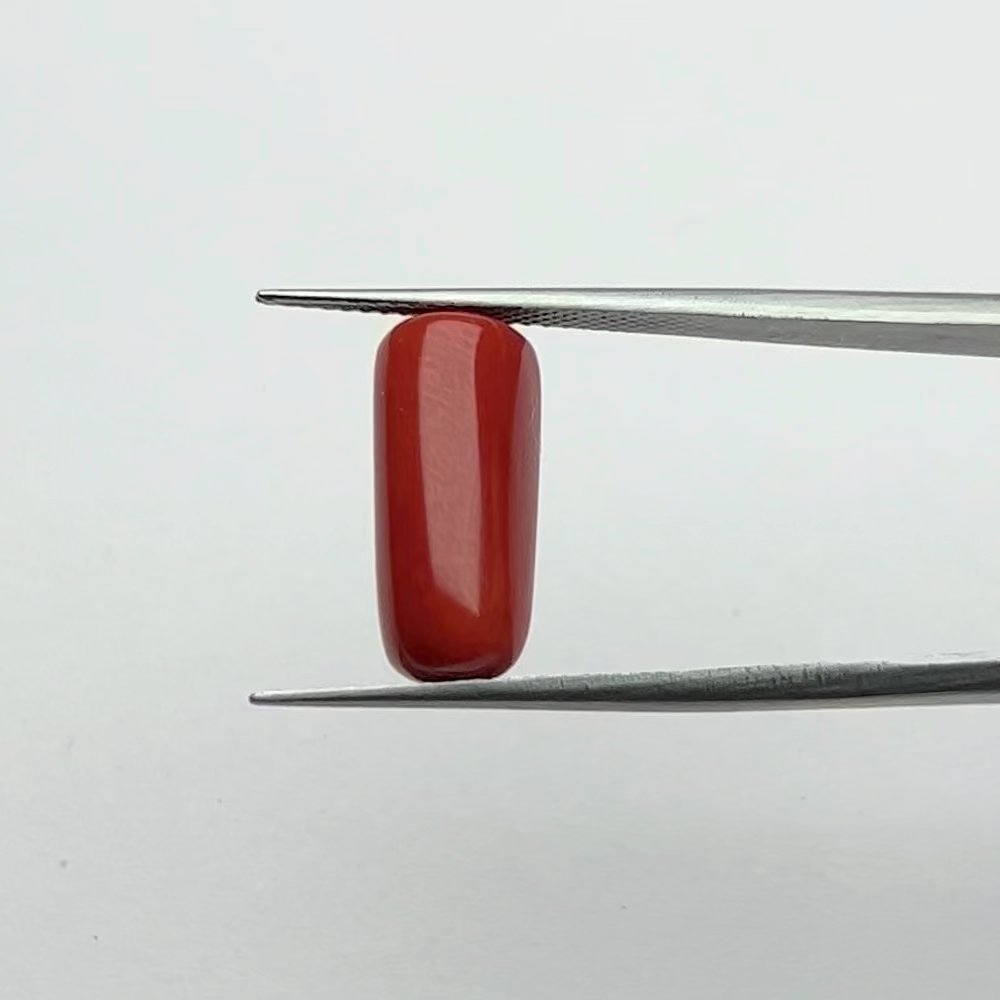 Red Coral | 8.25 Ratti