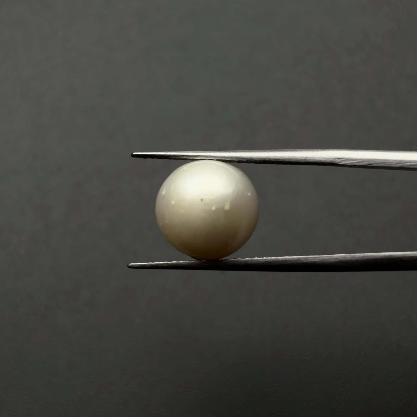 South Sea Pearl