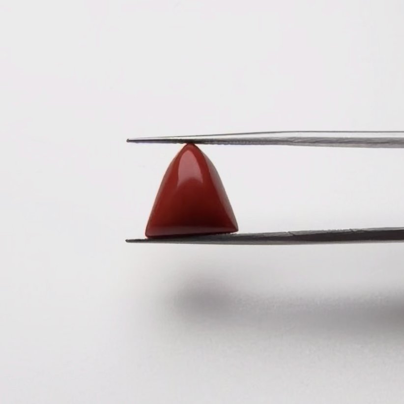 Red Coral | 7.25 Ratti