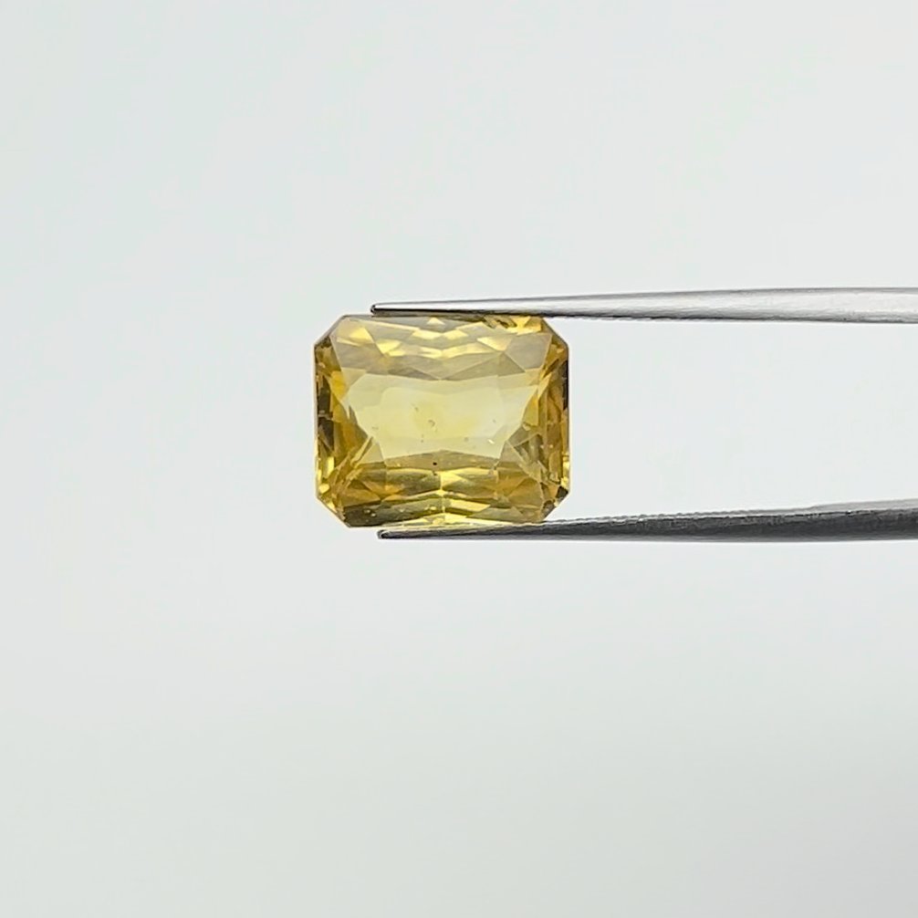 Yellow Sapphire | 8.00 Ratti