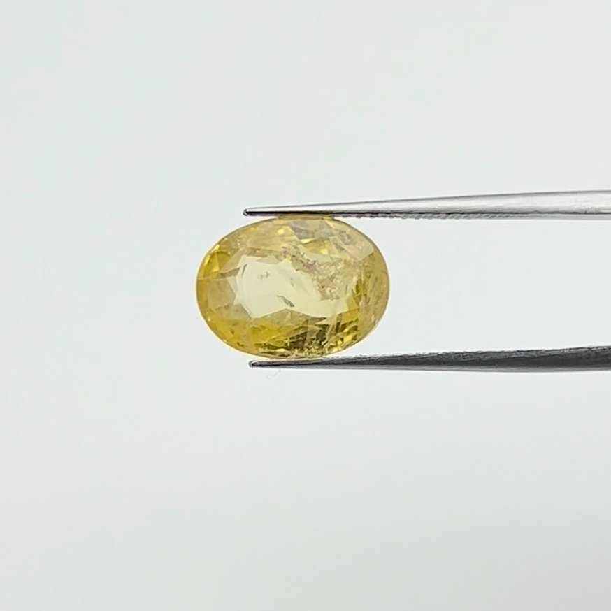 Yellow Sapphire | 7.50 Ratti