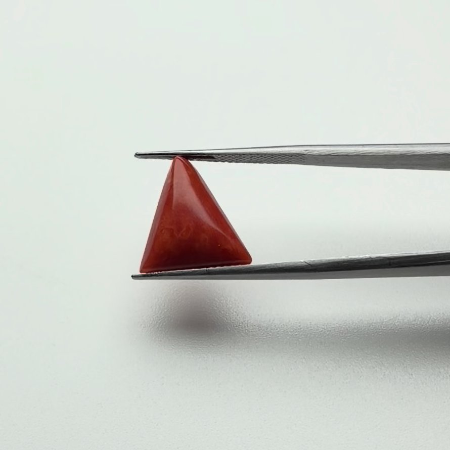 Red Coral | 7.00 Ratti