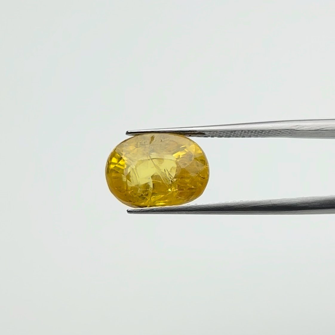 Yellow Sapphire | 9.50 Ratti